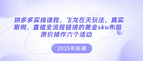 拼多多实操课程，飞龙在天玩法，真实案例，直播全流程链接的黄金sku布局原价操作六个活动-豪合科技站