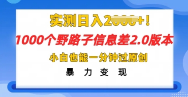 2025抖音1000个野路子信息差最新玩法，一分钟过原创，暴力变现月入几k-豪合科技站