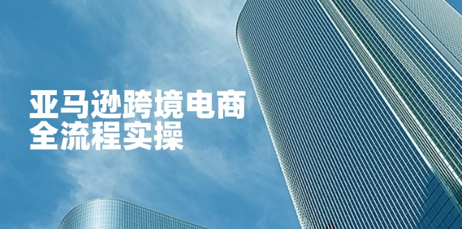 （14252期）亚马逊跨境电商全流程实操，教你从零开始，掌握店铺运营与广告技巧-豪合科技站