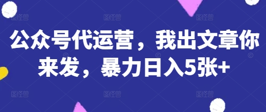 公众号代运营，我出文章你来发，暴力日入5张+【揭秘】-豪合科技站