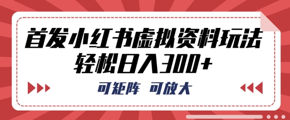 首发小红书虚拟资料玩法，可矩阵，可放大，轻松日入3张-豪合科技站