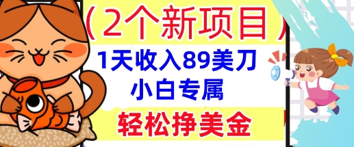 2个新项目，轻松挣美金， 1天收入89美刀，小白专属，干货分享-豪合科技站