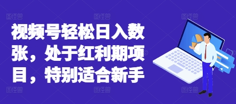 视频号轻松日入数张，处于红利期项目，特别适合新手-豪合科技站