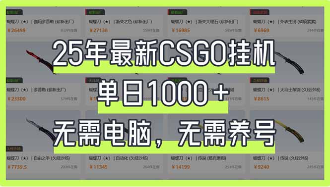 （14178期）25年最新CSGO挂机系统，单日1000+，无需电脑，无需养号，0基础可上手-豪合科技站
