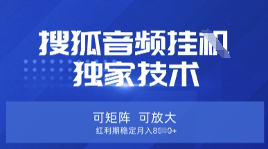 【搜狐音频挂G】独家技术，可矩阵可放大，红利期稳定月入8k【揭秘】-豪合科技站
