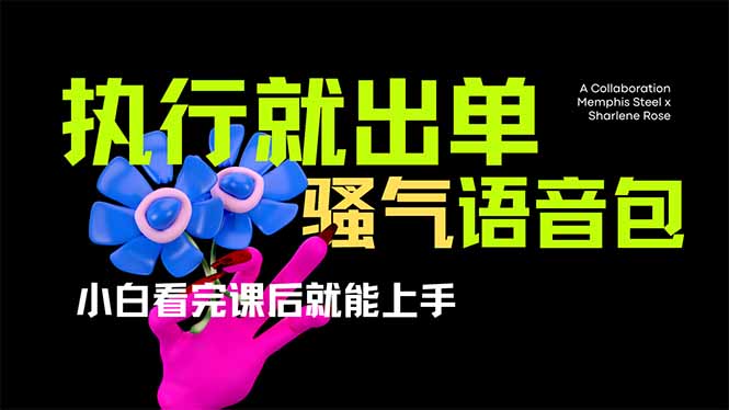 （14170期）爆火全网的开车导航骚气语音包,只要执行就出单，小白看完课程就能实操...-豪合科技站