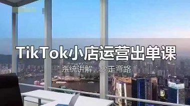 TikTok小店运营出单课，从开店选品、运营出单、发货回款，进行全流程讲解-豪合科技站