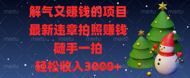 解气又挣钱的项目，最新违章拍照挣钱，随手一拍，轻松收入数张【揭秘】-豪合科技站